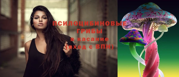 apvp Алексеевка