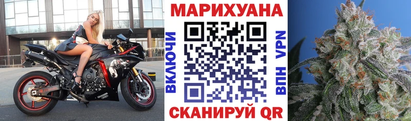 купить  цена  Сафоново  Шишки марихуана ГИДРОПОН 